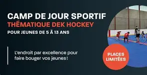 Panier de dek hockey avec une balle et des chandails d equipe